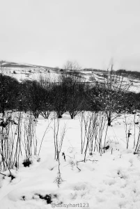 Much prefer summer in skimpy clothing https onlyfans com ddaisyhartvip