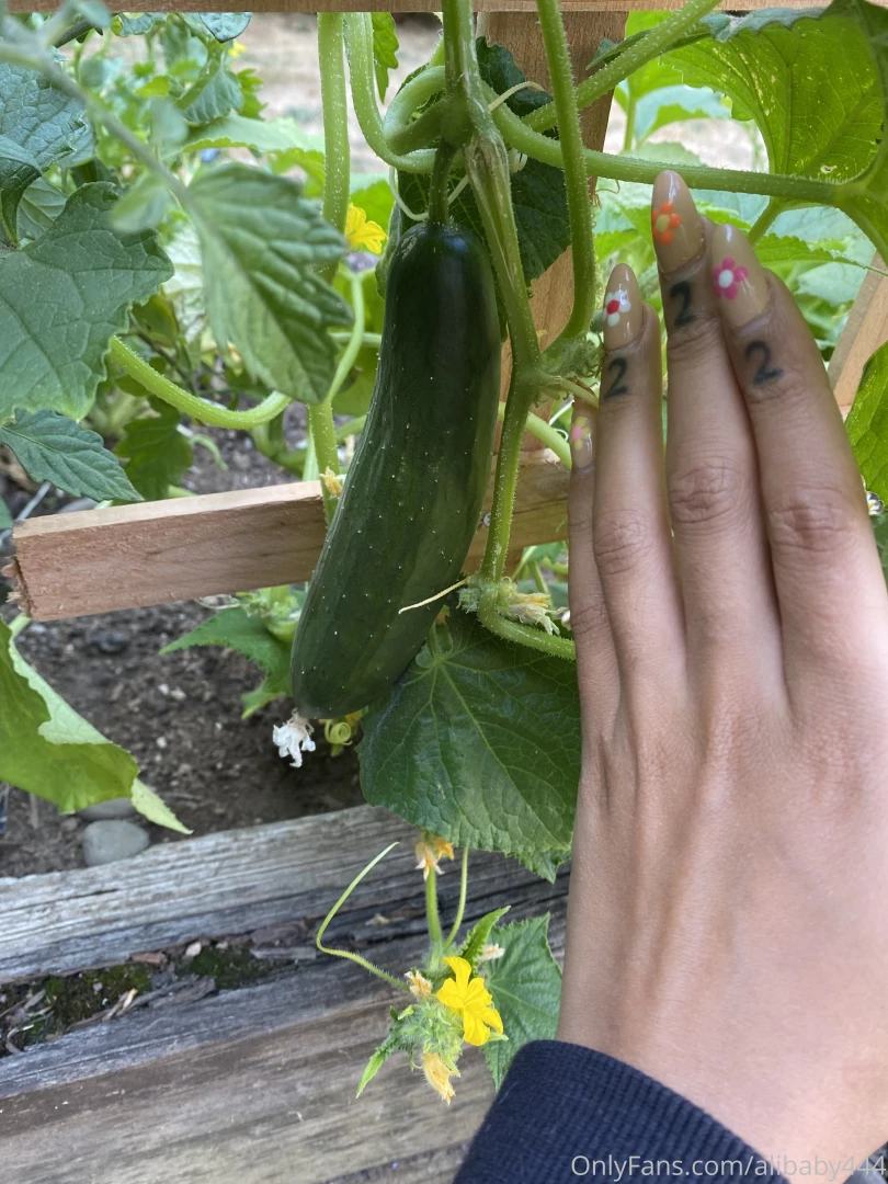 Fishnet vid will be up this weekend i m flying 2 see my dad this part 1 