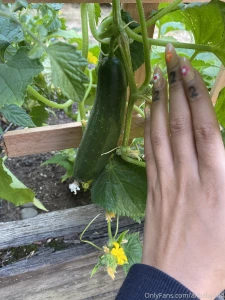 Fishnet vid will be up this weekend i m flying 2 see my dad this part 1