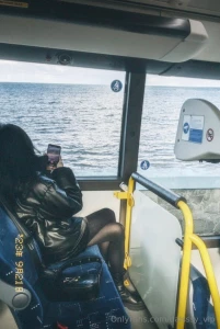 As the bus journeys through the mist-laden dusk the windows reveal a