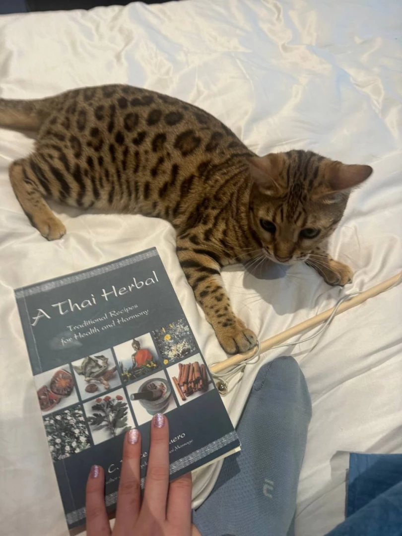 My best friend - nala 