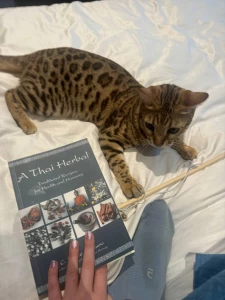 My best friend - nala