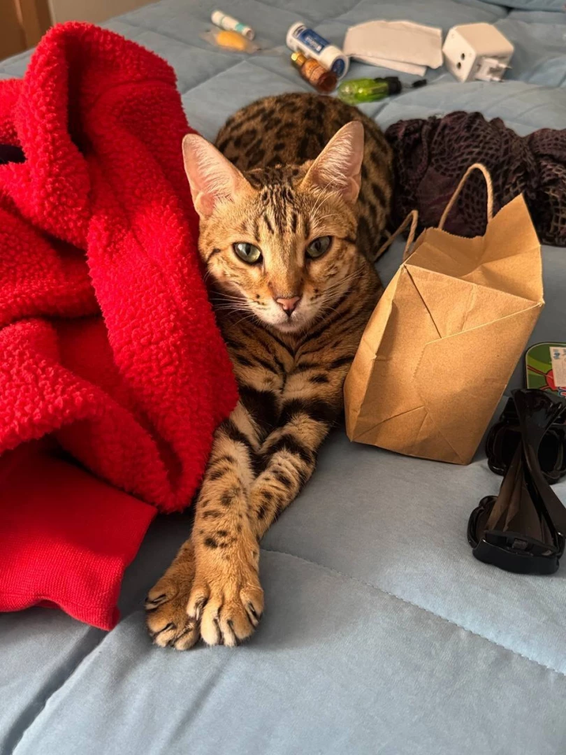 Just a random cute pics for yall part 1 