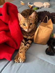 Just a random cute pics for yall part 1