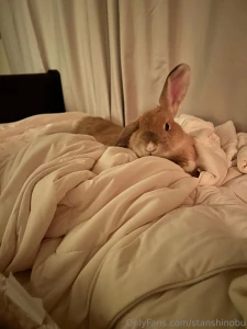 Someone asked for eyebleach so you know i had to bring it back honey