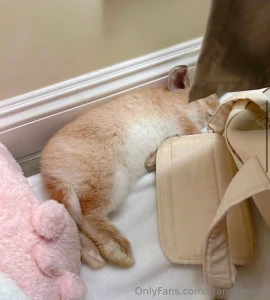 Give away time one very lucky winner will win a video call with yours