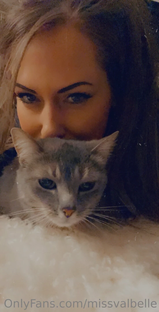 Cuddles and purrs the perfect combination 