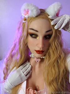 Prrrrr aren t i cute kitty pet girl which one is your fave i pic part 8