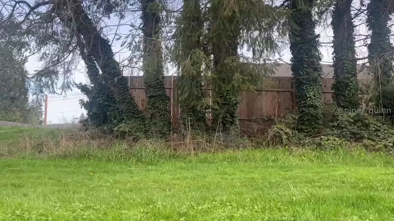 Riding the lawnmower 6min my goodness we are goofy sometimes ben was 