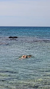 Your view from the shore