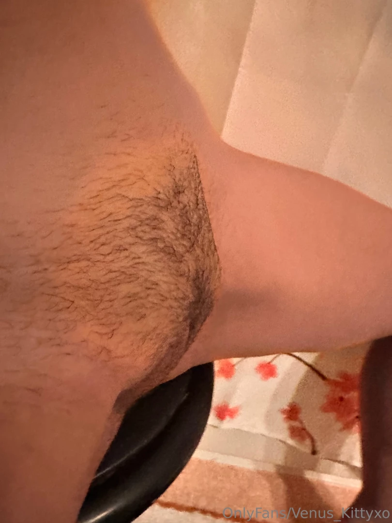 The mighty bush hehe i ll have it till friday part 2 