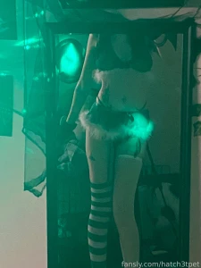 Would u take me as ur holiday pup part 1