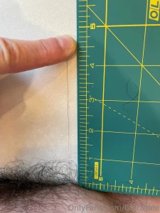 How many inches do you think it is