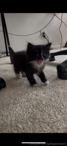 A new addition to the family part 1