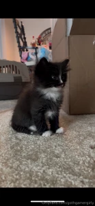 A new addition to the family part 2