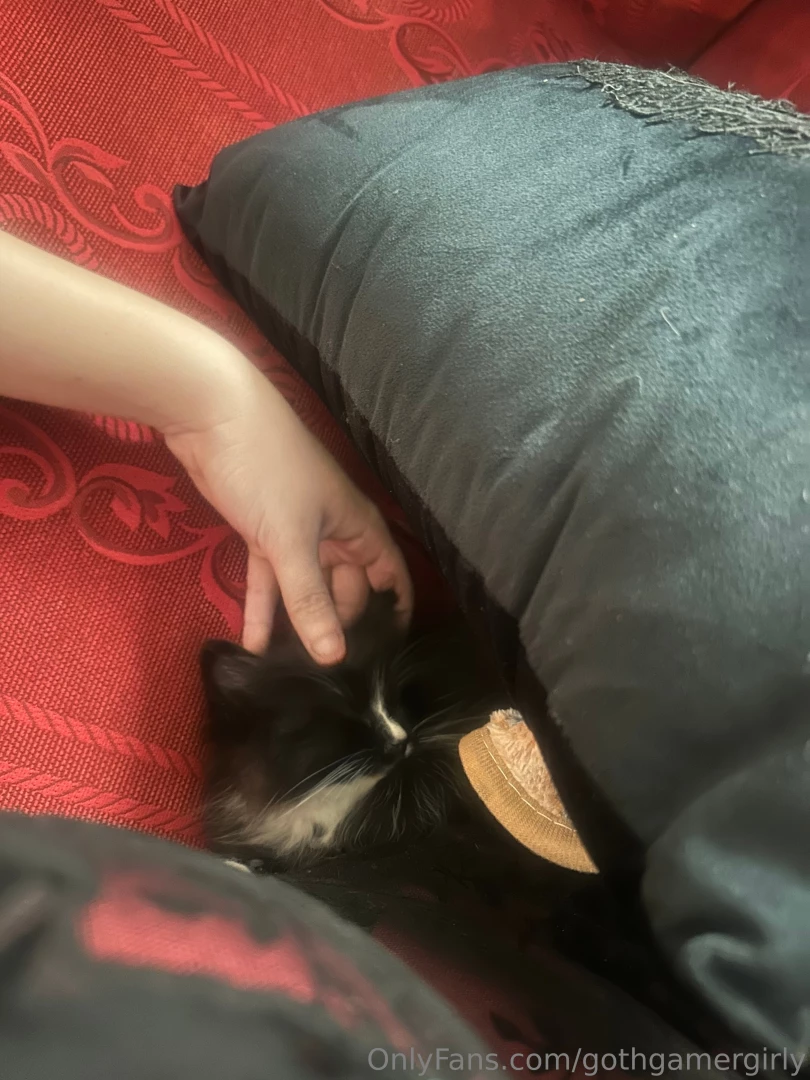 A new addition to the family 