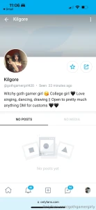 Alert someone made a fake account its not me