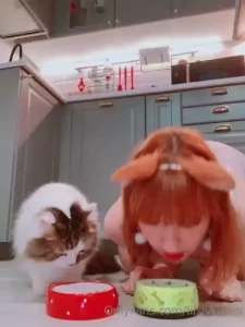 Good kittens know their place part 5