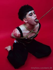 Foto shibari