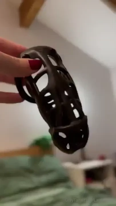 I m very excited for you to be in your new cage like the very good boy 