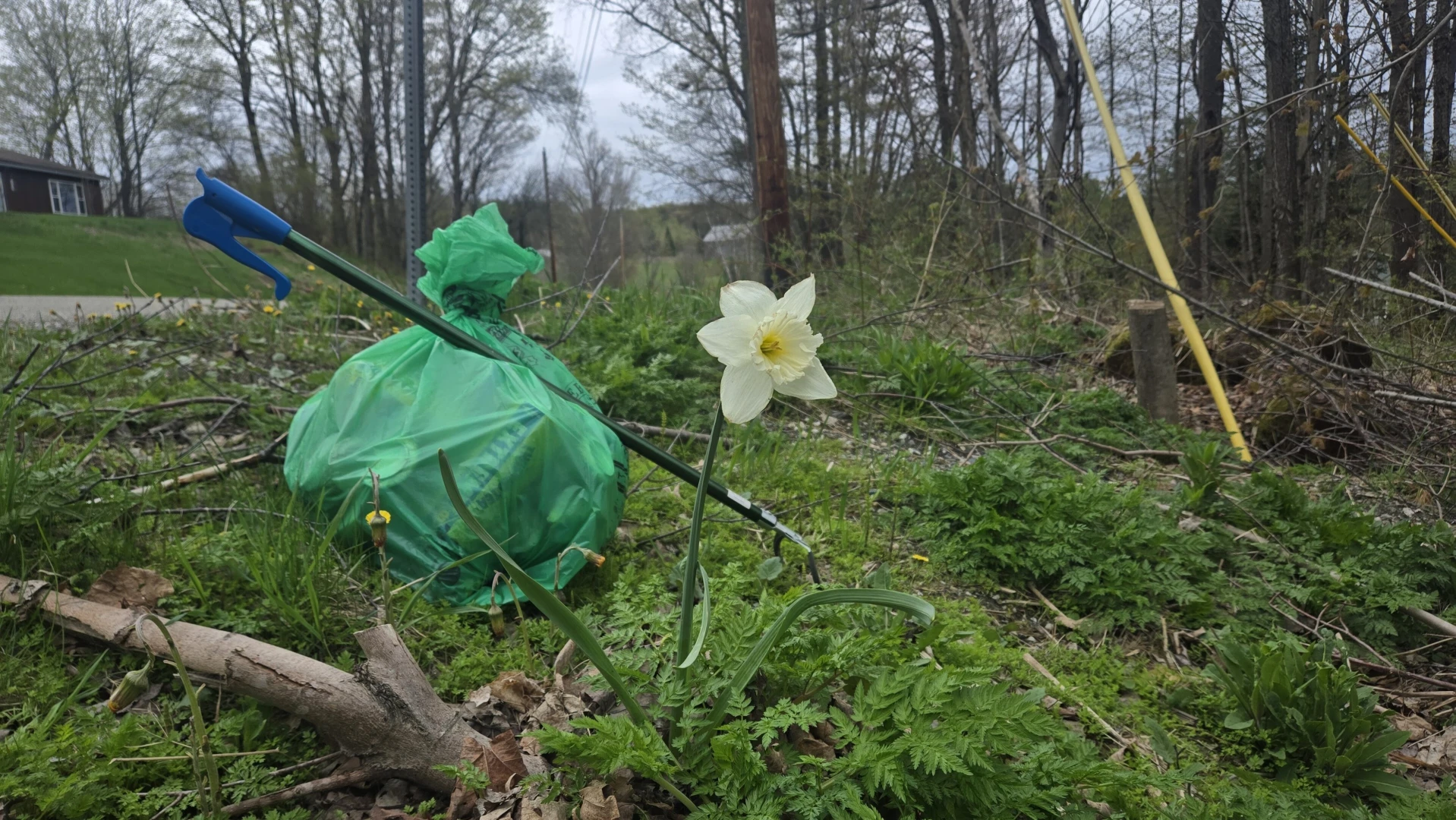 Having a stardew valley spring in other words spending all of my money part 11 