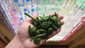 Having a stardew valley spring in other words spending all of my money part 5