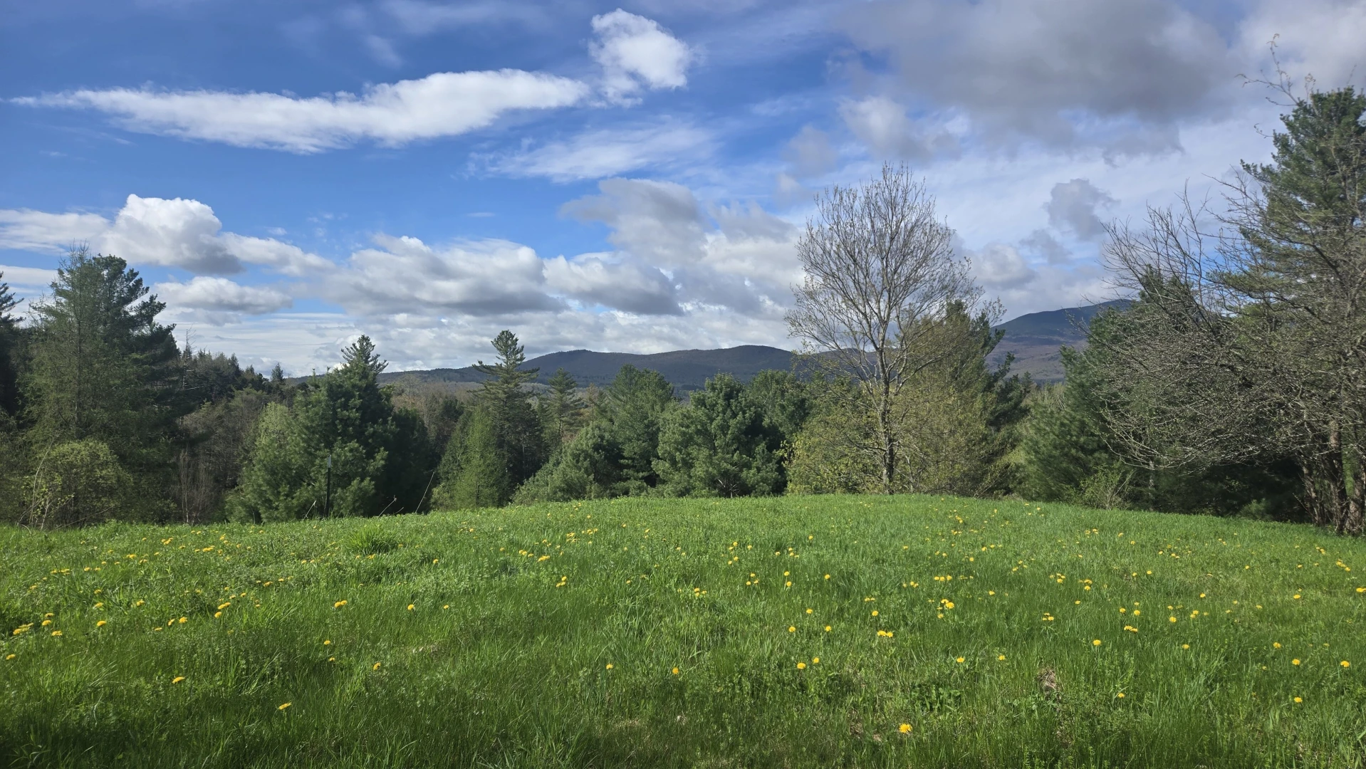 Having a stardew valley spring in other words spending all of my money part 9 