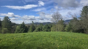 Having a stardew valley spring in other words spending all of my money part 9