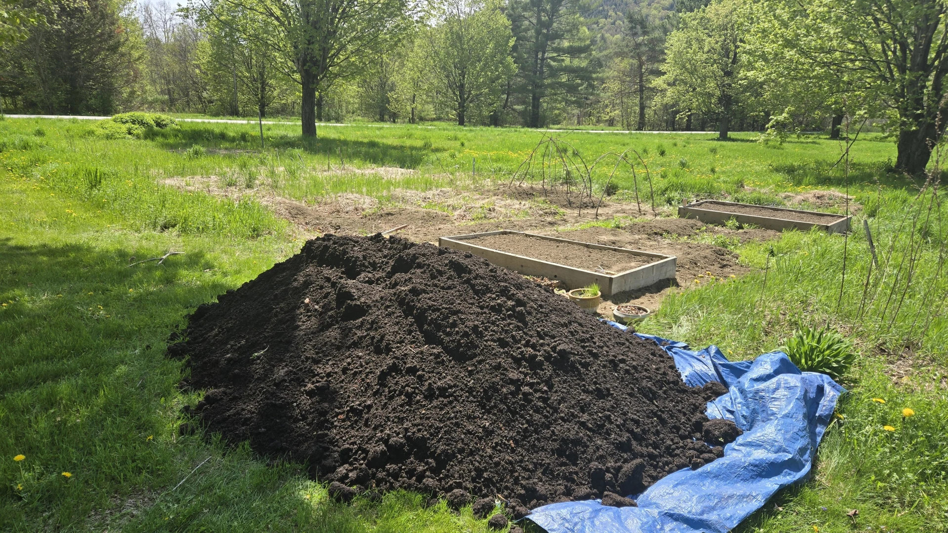 Having a stardew valley spring in other words spending all of my money part 1 