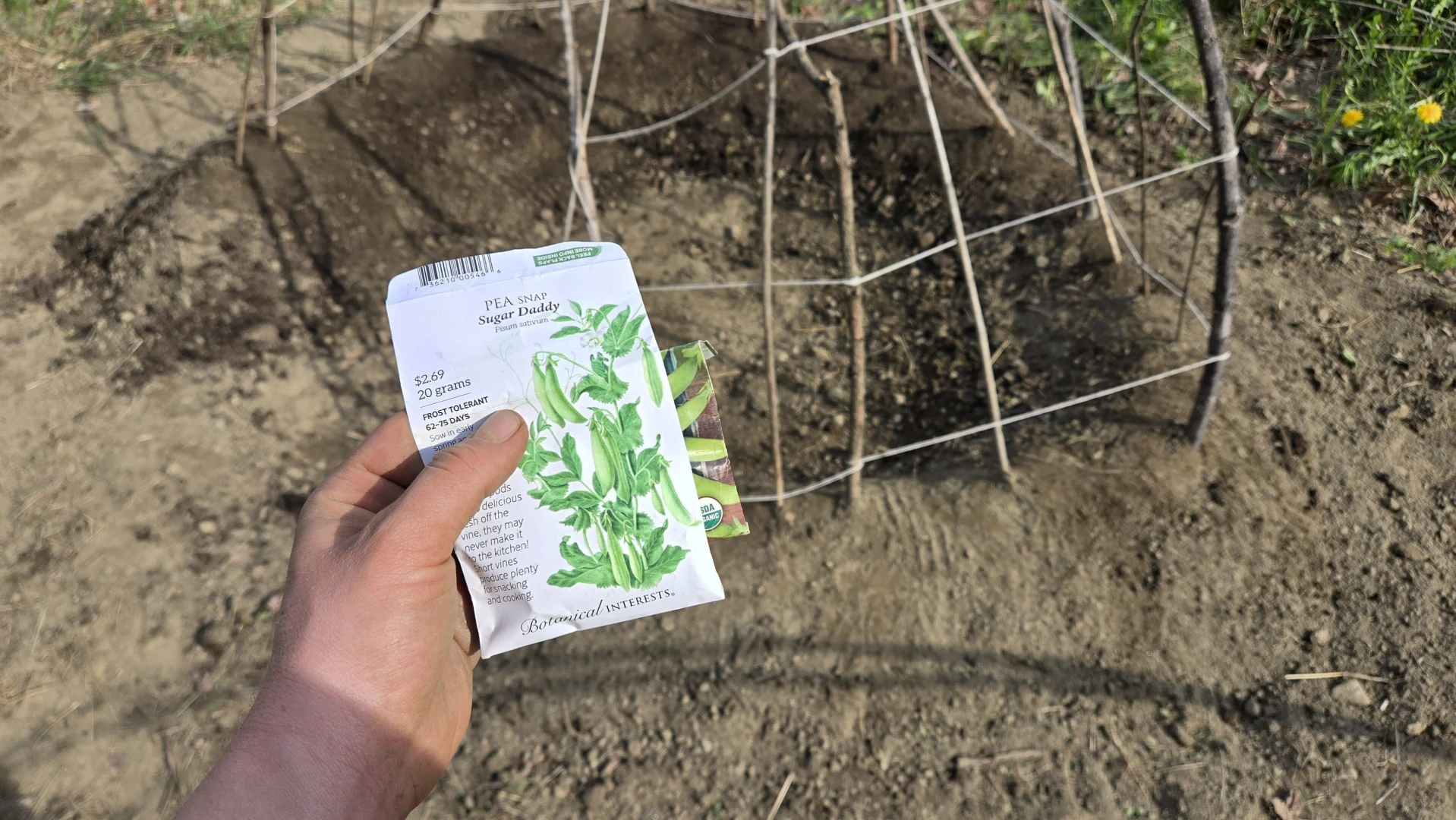 Having a stardew valley spring in other words spending all of my money part 7 