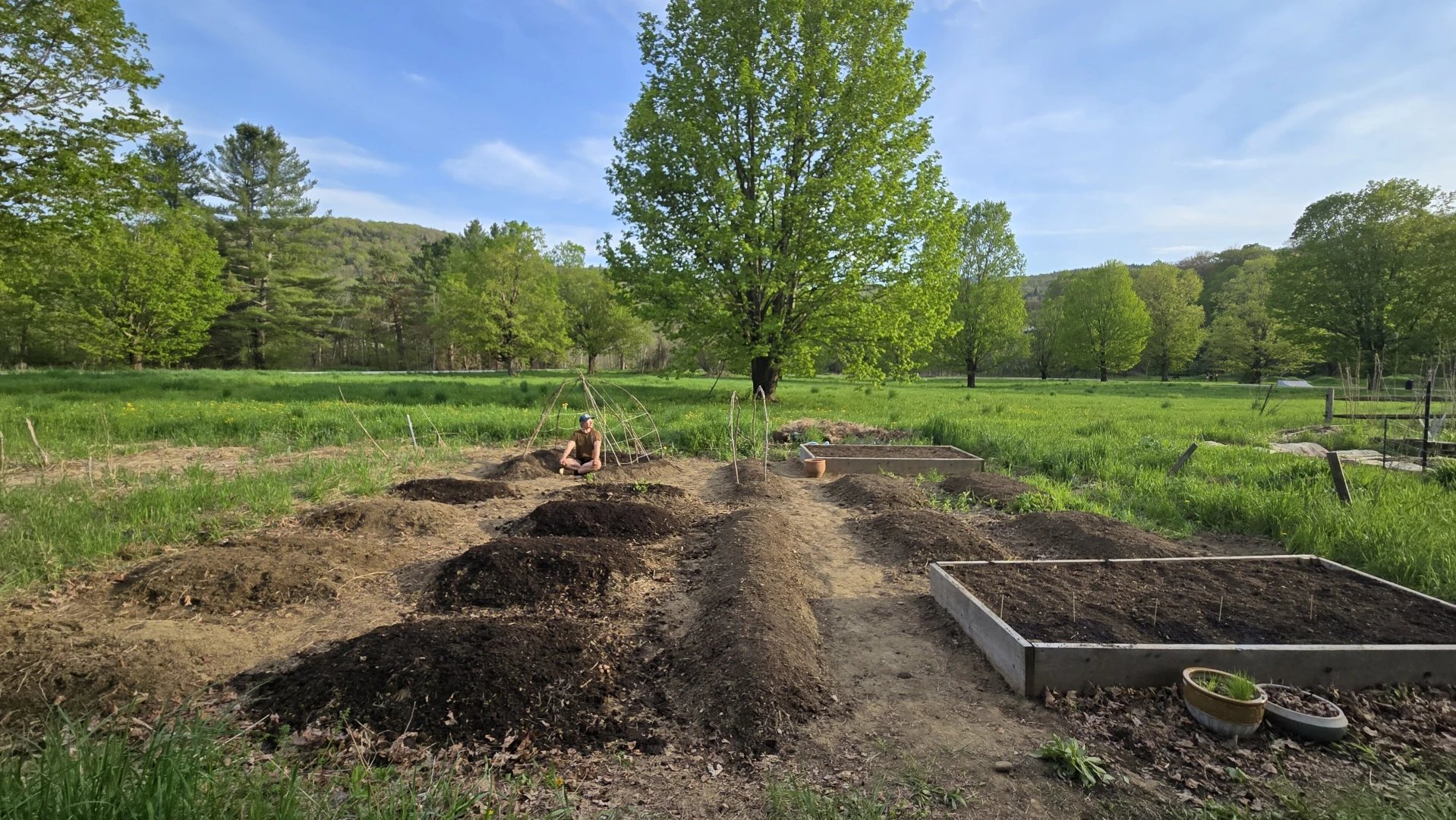 Having a stardew valley spring in other words spending all of my money part 10 