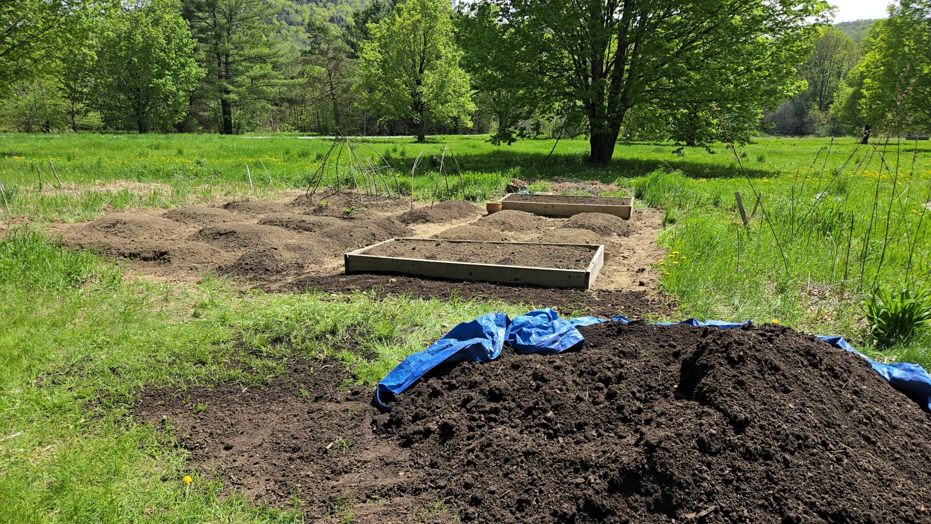 Having a stardew valley spring in other words spending all of my money part 14 