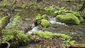 Having a stardew valley spring in other words spending all of my money part 16