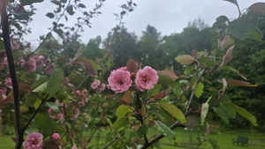 Having a stardew valley spring in other words spending all of my money part 17