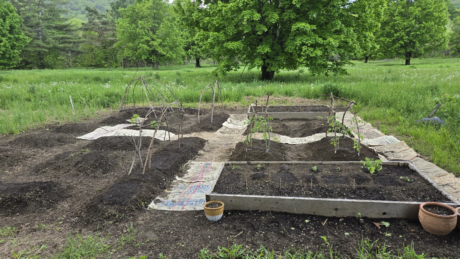 Having a stardew valley spring in other words spending all of my money part 12 