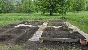 Having a stardew valley spring in other words spending all of my money part 12