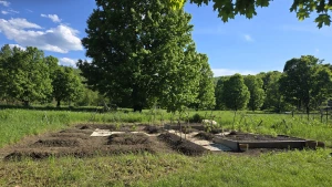 Having a stardew valley spring in other words spending all of my money part 15