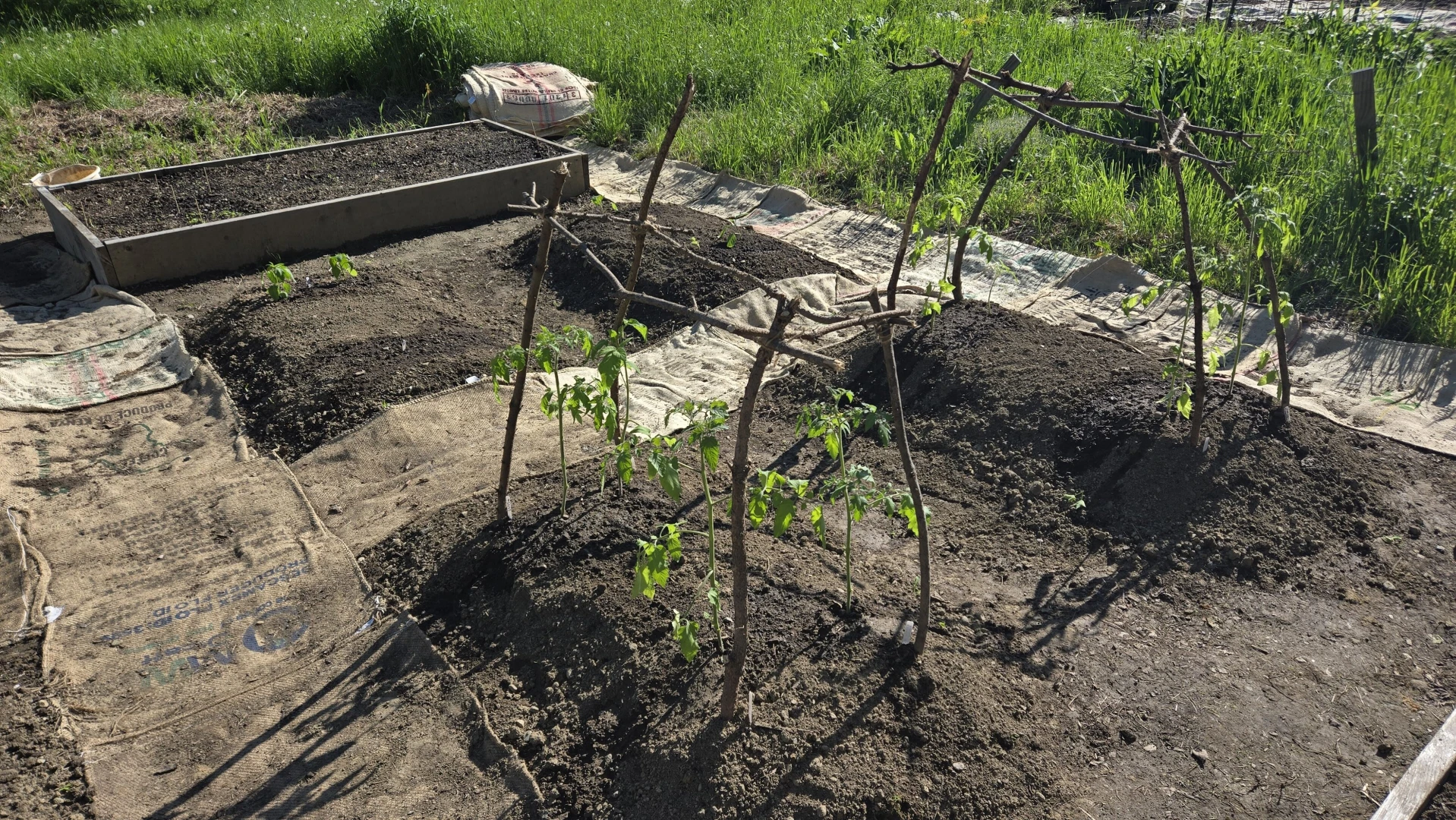 Having a stardew valley spring in other words spending all of my money 