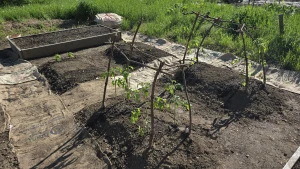 Having a stardew valley spring in other words spending all of my money