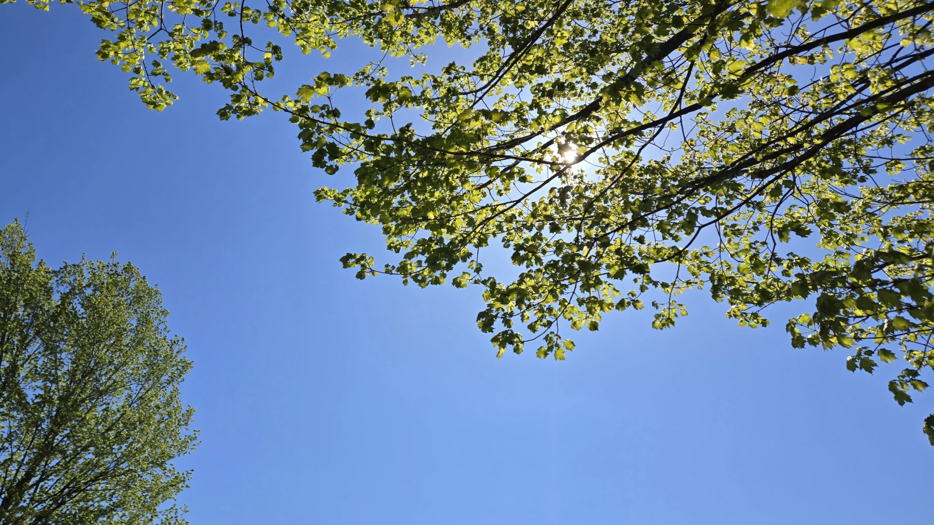 Having a stardew valley spring in other words spending all of my money part 8 