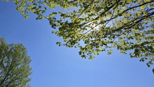 Having a stardew valley spring in other words spending all of my money part 8