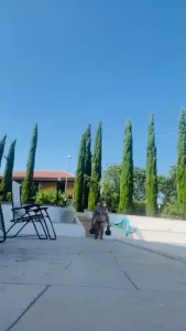 You need only count my sets and reps that is your today s mission