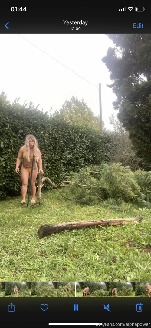 Tutorial gardening with no tools is the best way the best gardener part 8 