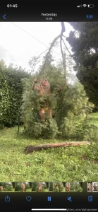 Tutorial how to be a good gardener without any tools tell me in sn the part 1