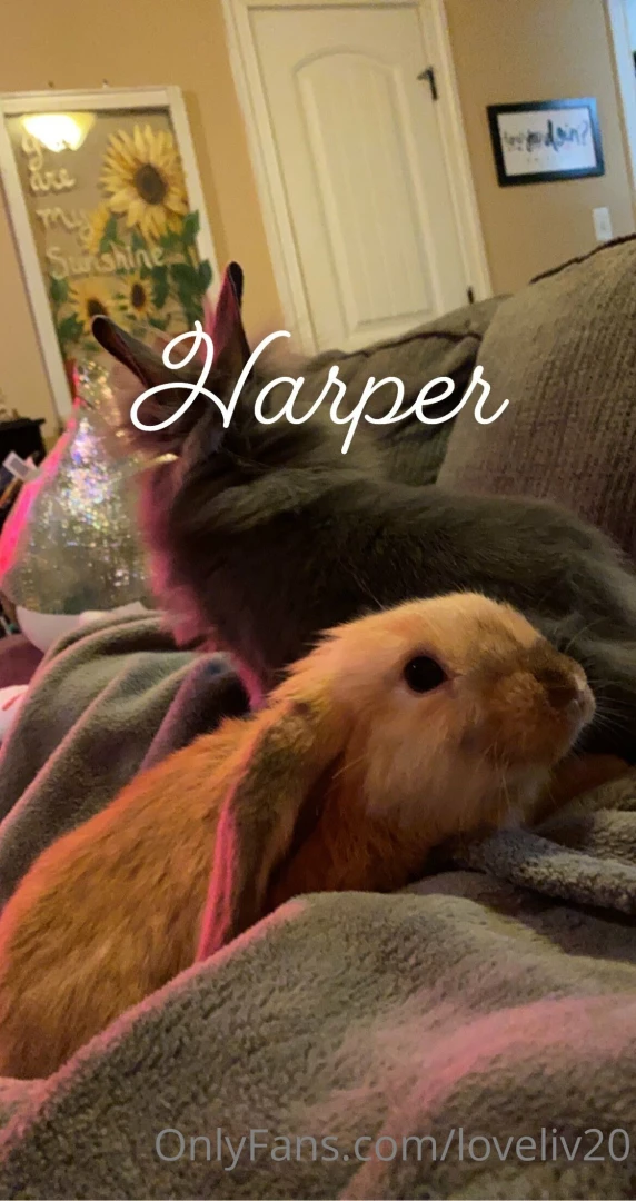 Comment fun facts 20 21 6 amp x amp amp 7 5 2 150 amp 36 amp i ve got part 2 