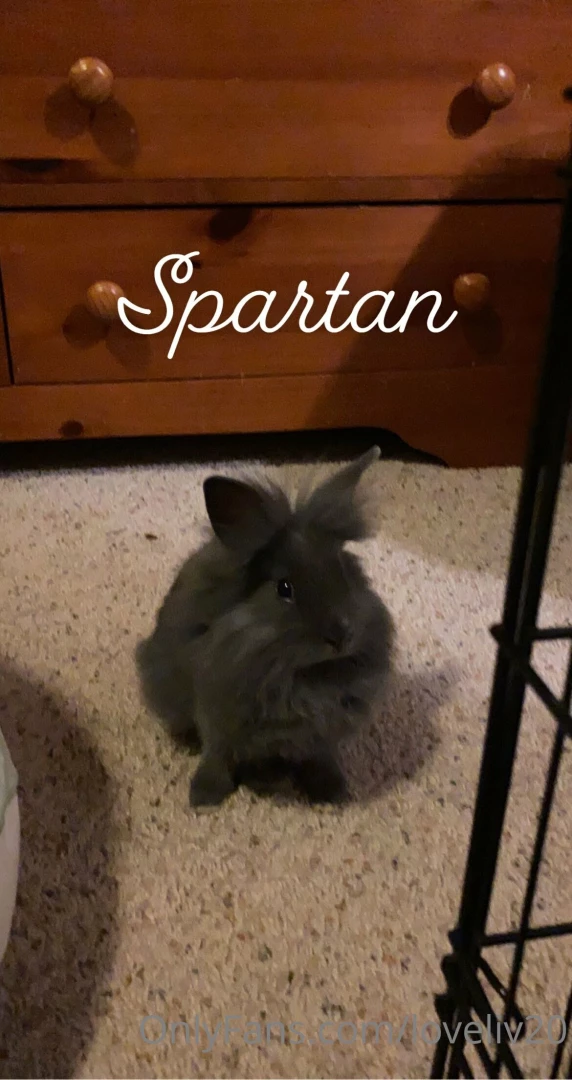 Comment fun facts 20 21 6 amp x amp amp 7 5 2 150 amp 36 amp i ve got part 3 