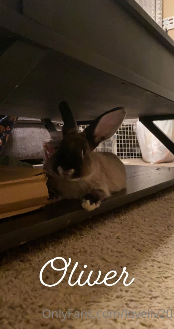 Comment fun facts 20 21 6 amp x amp amp 7 5 2 150 amp 36 amp i ve got 