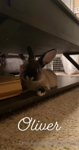 Comment fun facts 20 21 6 amp x amp amp 7 5 2 150 amp 36 amp i ve got