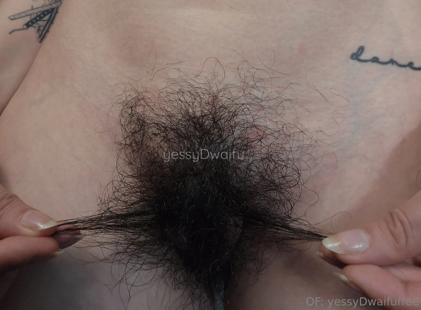 Will you let my bush consume you whole 