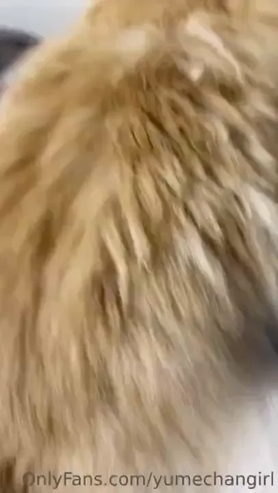 I tried doing this on my real cat you won t believe what happened part 2 